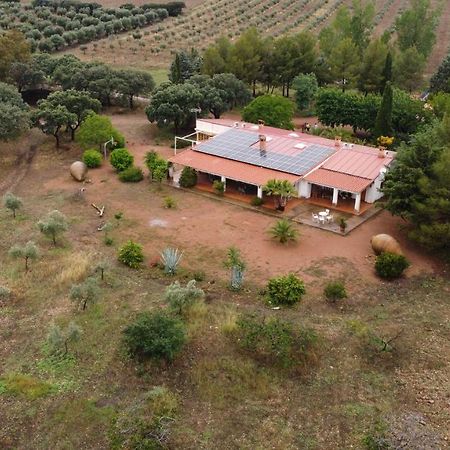Agroturismo La Finka Los Quiles Luaran gambar