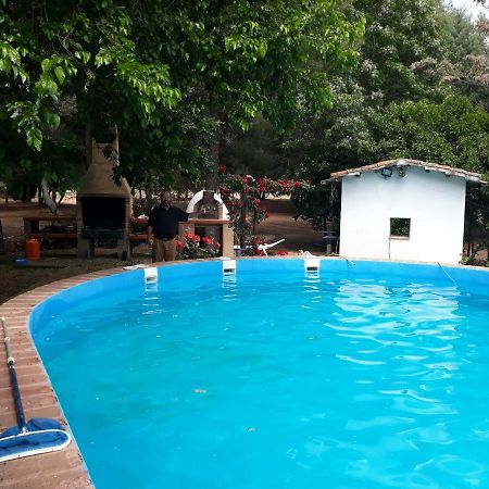 Agroturismo La Finka Los Quiles Luaran gambar